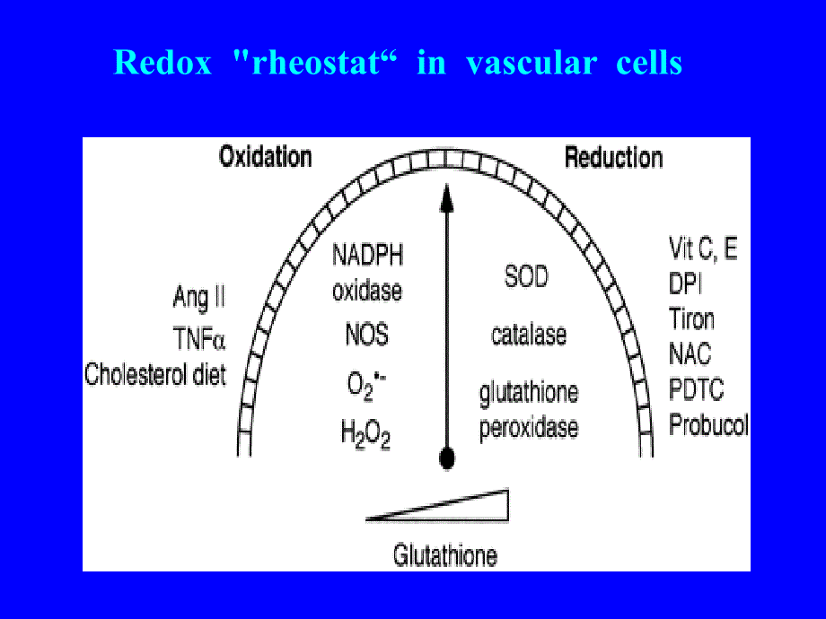 氧化应激与糖尿病oxidative stress and diabetes费_第2页