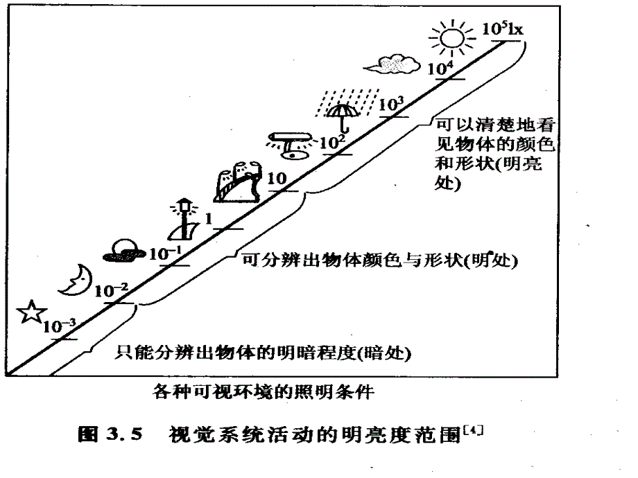 人眼的生理特征_第4页