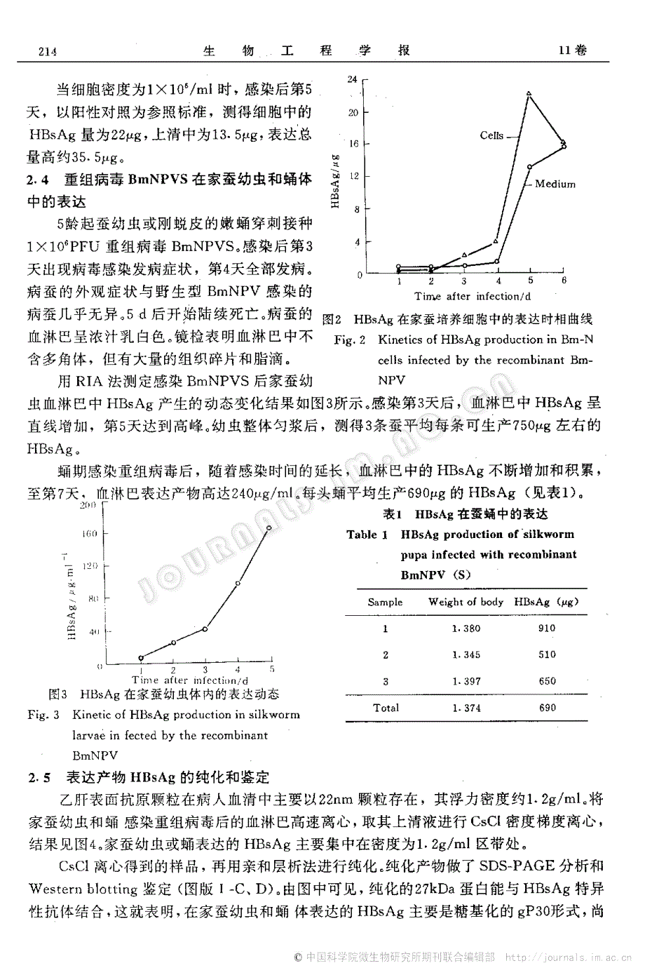 乙肝病毒s基因在家蚕细胞及蚕体内高效表达_第4页