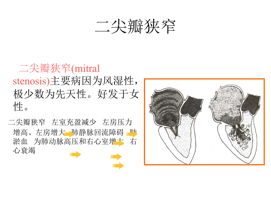 循环系统常见疾病的主要症状和体征_第2页