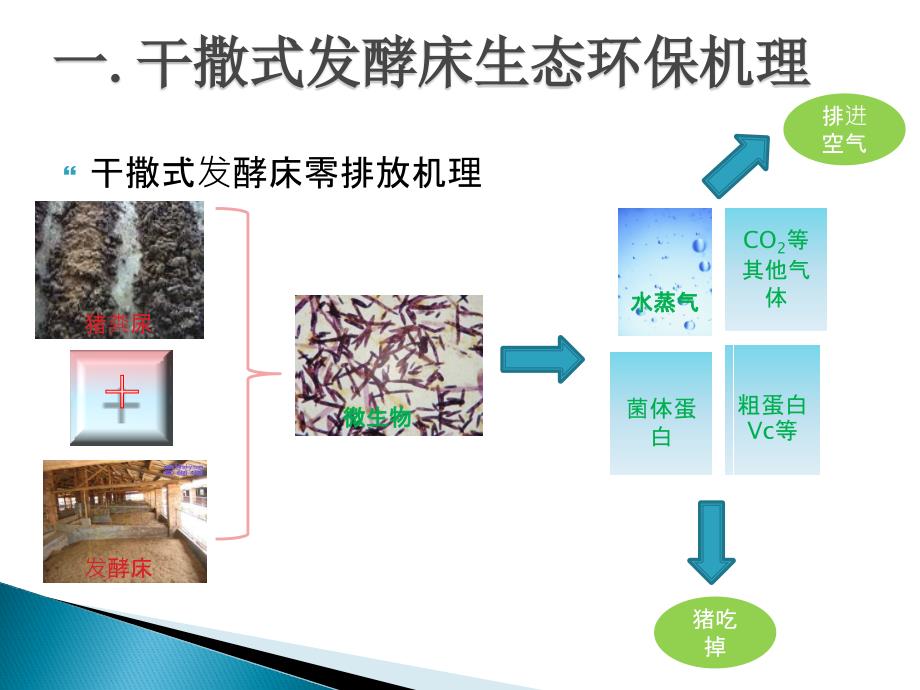 干撒式发酵养殖机理与综合应用技术_第4页