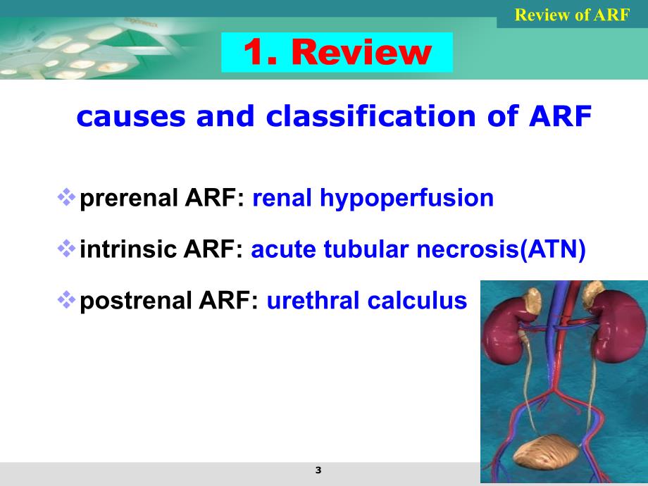 chronic renal failure for foreign student 病理生理学双语课件_第3页