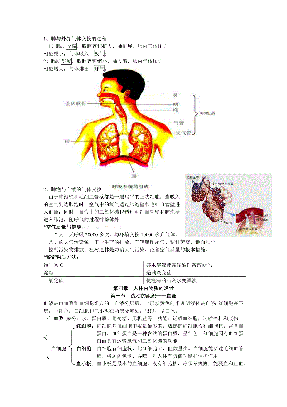 2012-2013年人教版七年级生物下册期中复习提纲-新课标人教版初一七年级_第3页