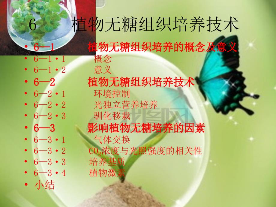 植物无糖组织培养技术_第1页