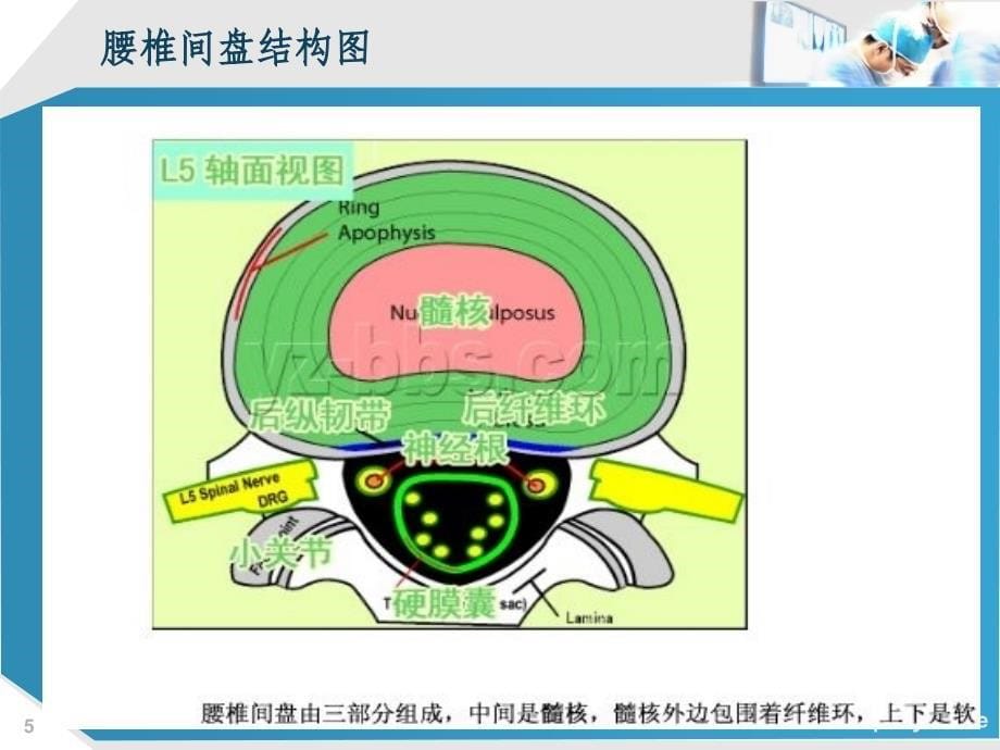 腰椎间盘炎围术期护理_第5页