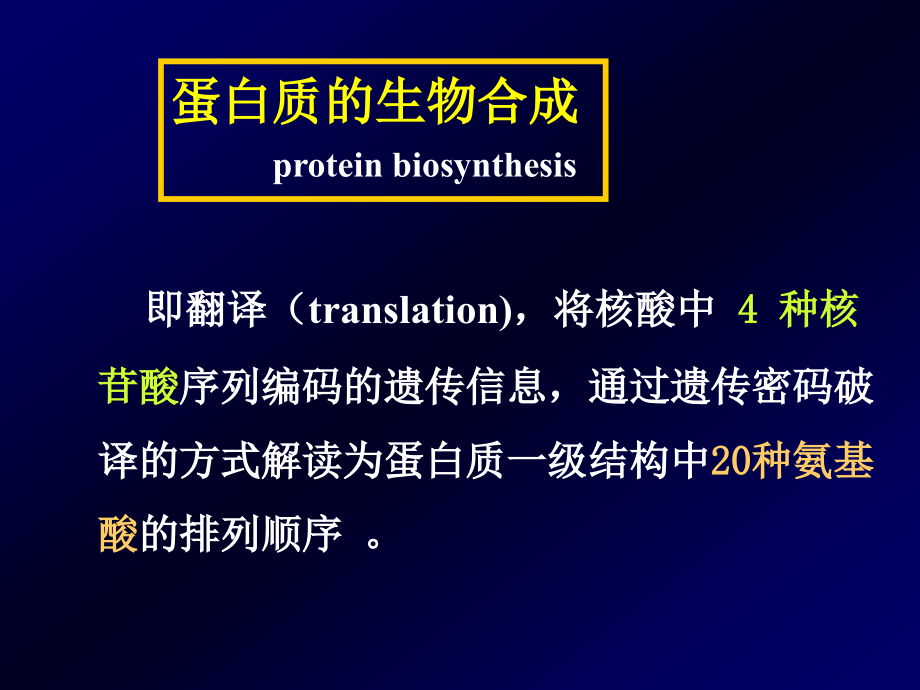 蛋白质合成1(10.17)_第2页
