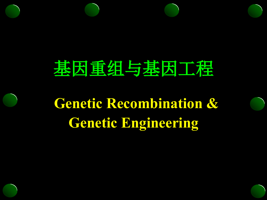 GENE ENGINEERING基因重组与基因工程_第1页