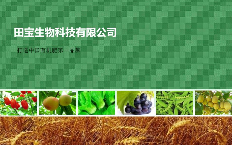 绿色农业产品流通ppt模板_第1页