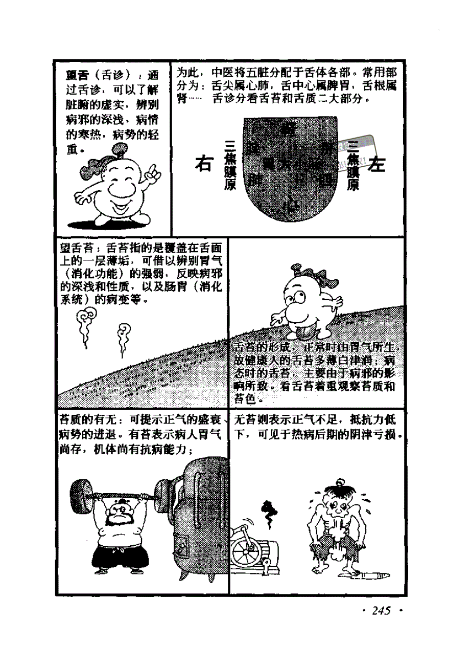 页面提取自－+中医养生图典-6_第4页