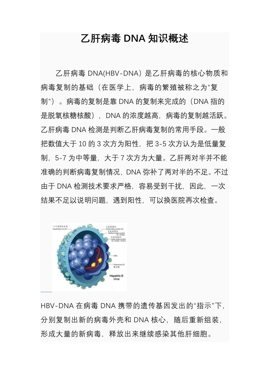 乙肝病毒dna概述_第1页