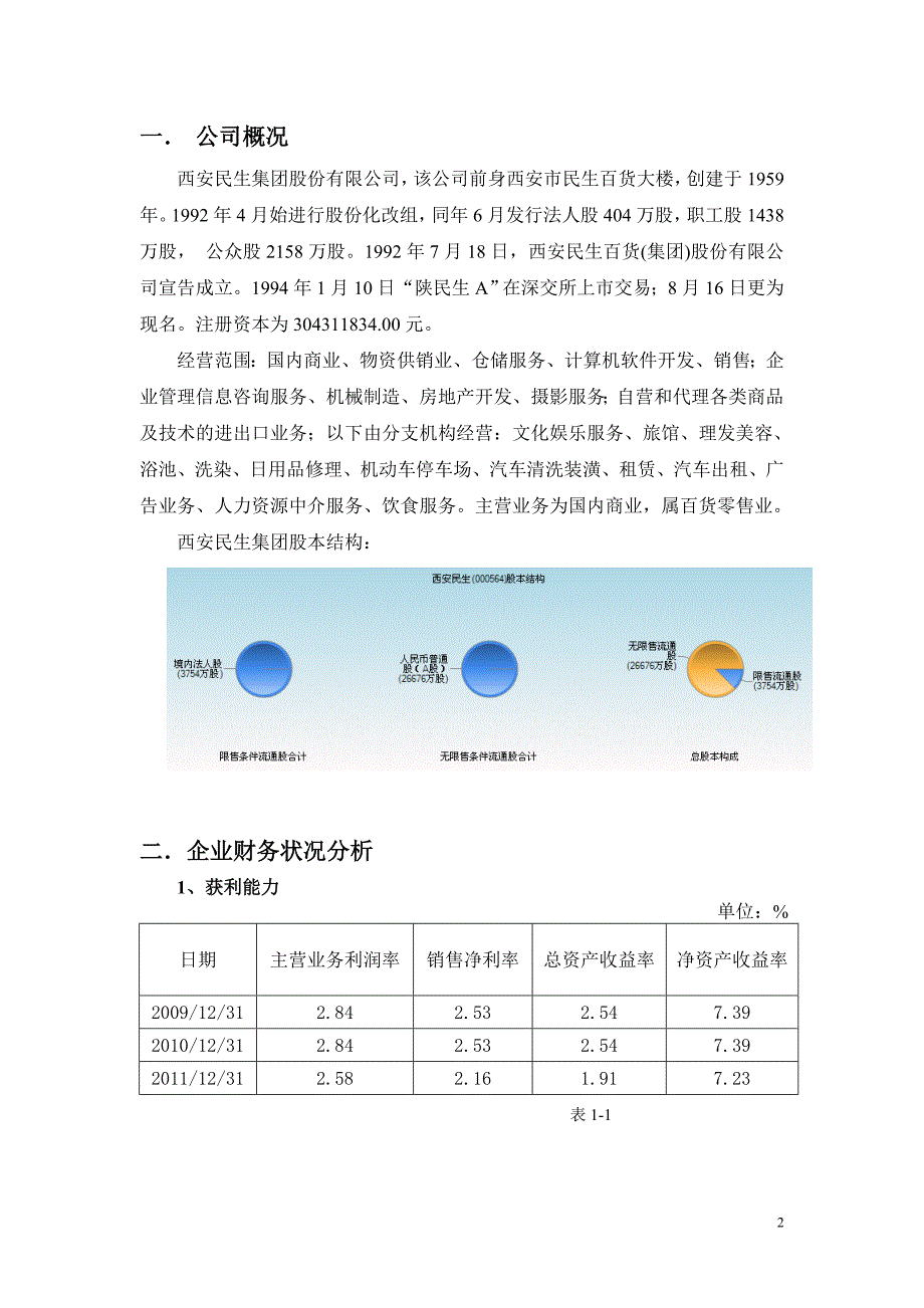 西安民生集团财务分析_第2页