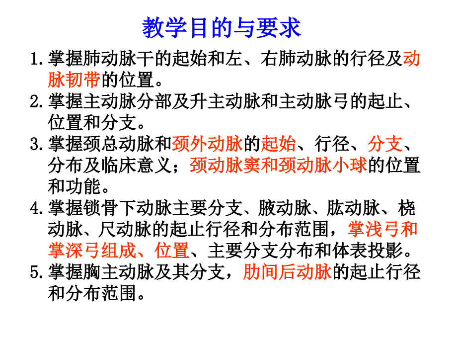 器官外动脉配布规律_第2页