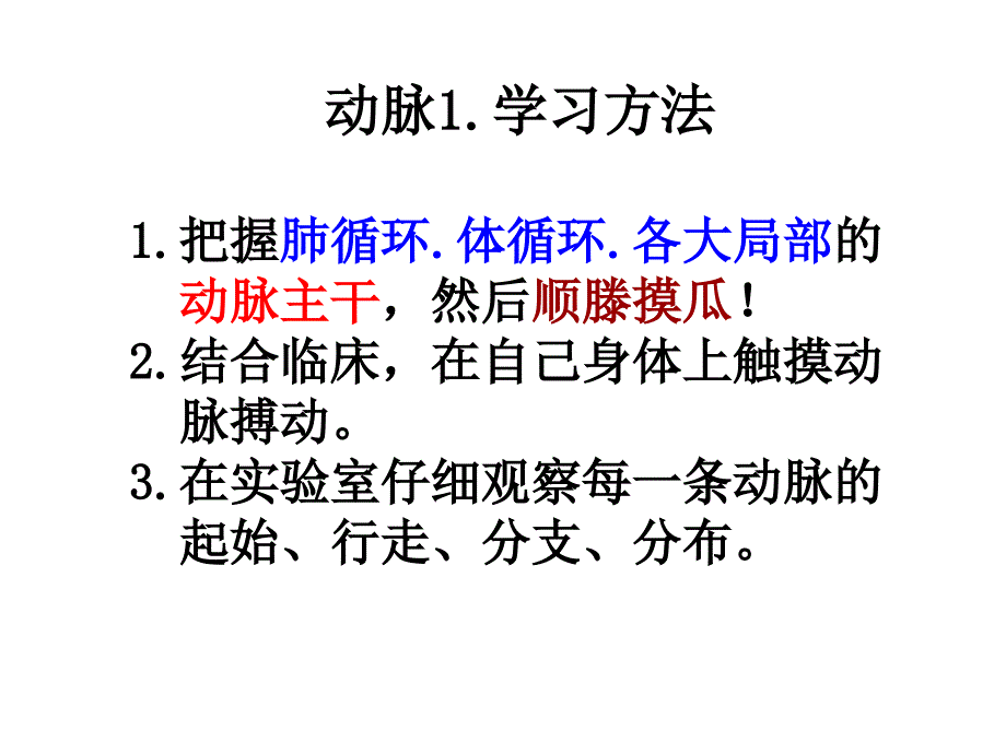 器官外动脉配布规律_第4页