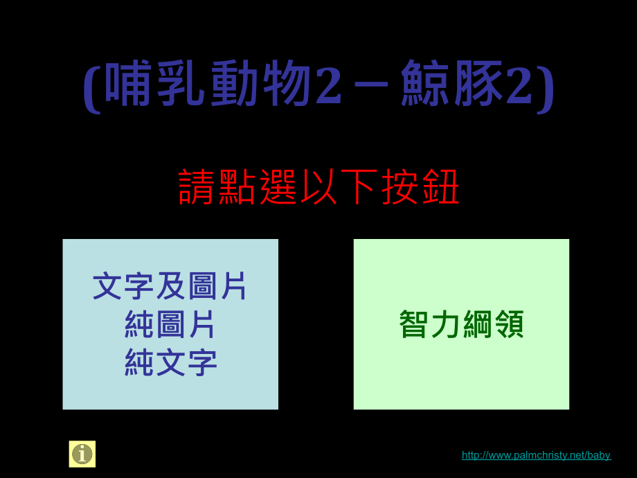 杜曼教学闪卡哺乳動物2-鯨豚2-chi-poi群策1-may_第1页