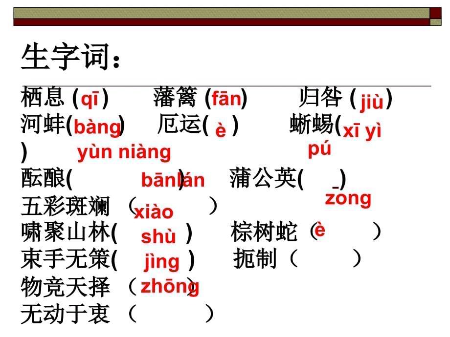 生物入侵者ppt_第5页