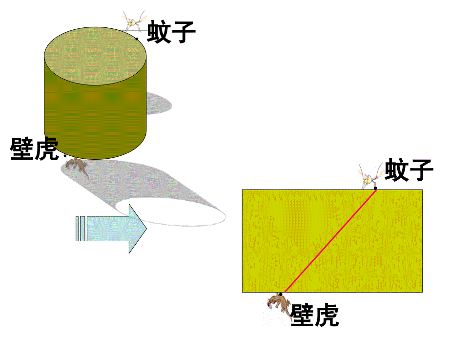 立体图形的展开图_第3页