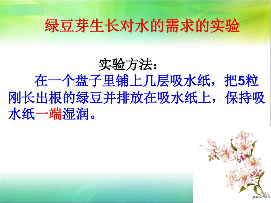 科学 五年级上 第一单元 4观察绿豆芽的生长(三)_第4页