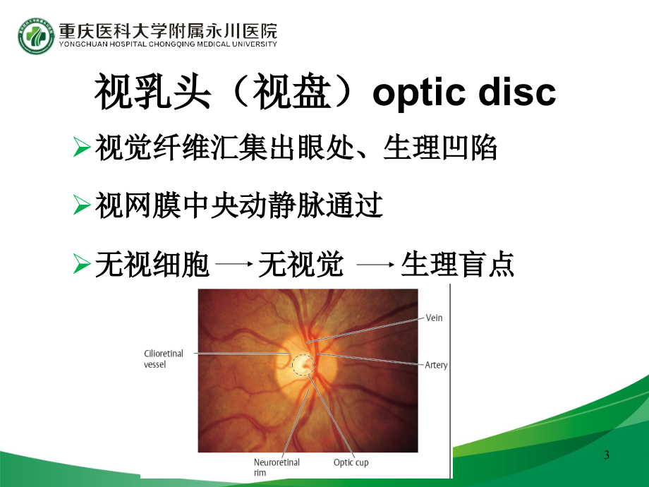 视神经与视路和眼眶病_第3页