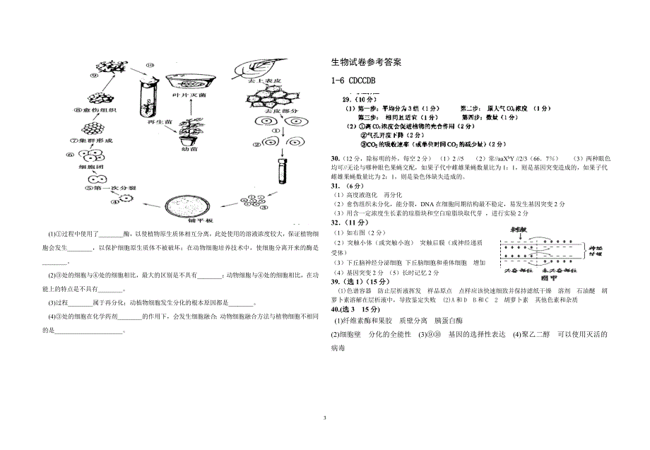 2013年高考最后一卷理综试题2_第3页