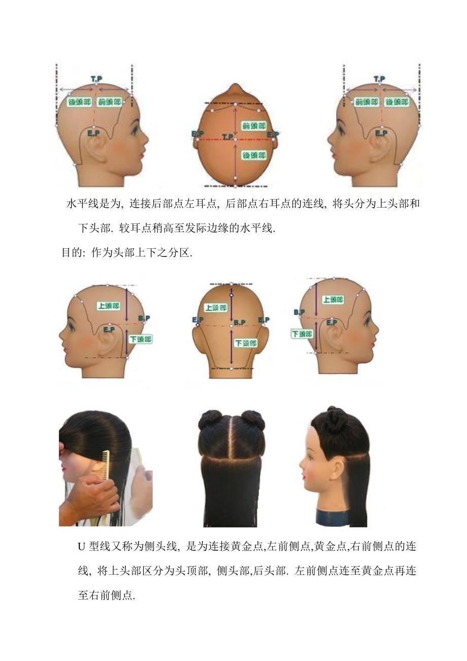 发型设计进阶篇—七线十五点_第2页