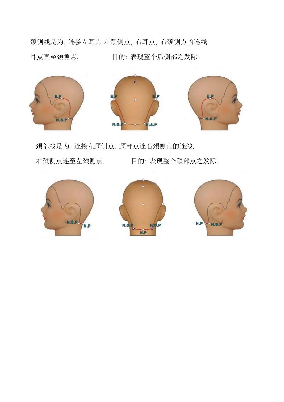 发型设计进阶篇—七线十五点_第4页