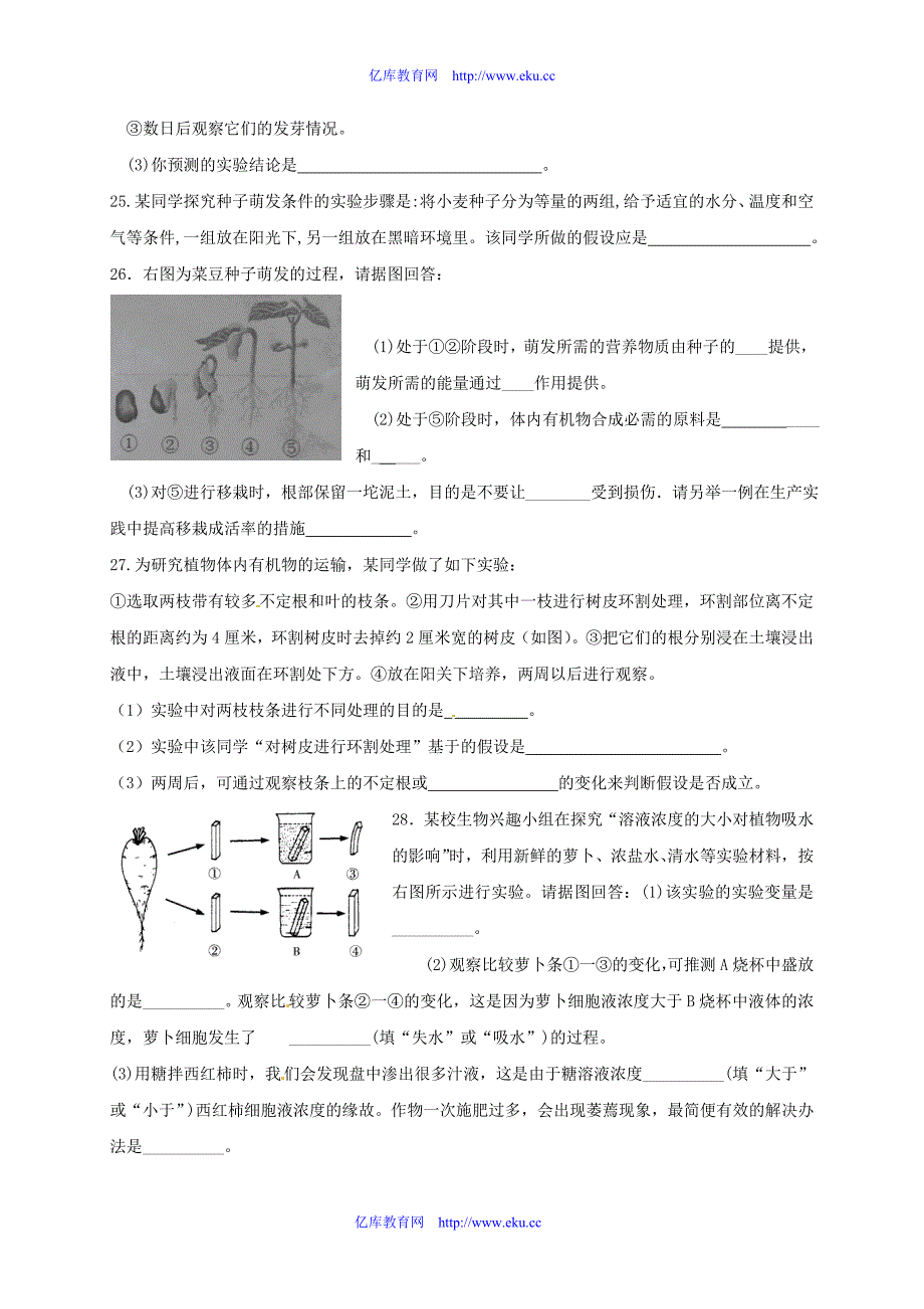 七年级生物上册 种子的萌发与植株的生长练习题 人教新课标版_第4页