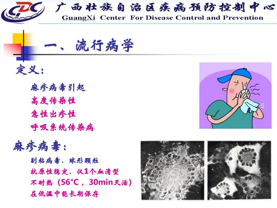 麻疹、风疹的防控_第4页