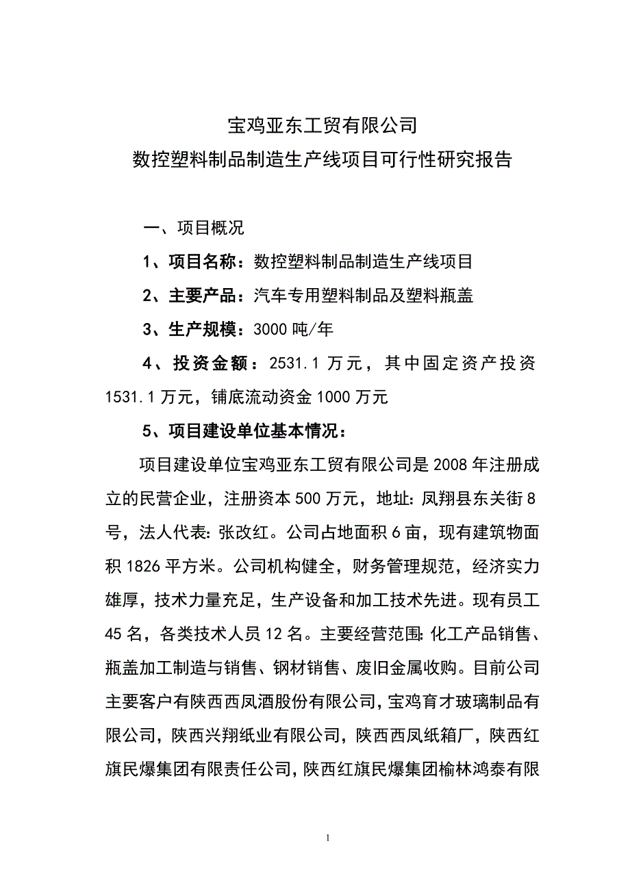 数控塑料制品生产线项目可行性研究报告1_第1页