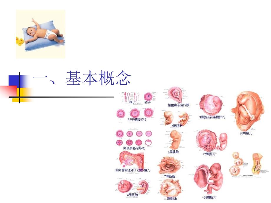 讲座_发育障碍的评定-江苏省人民医院康复_第2页