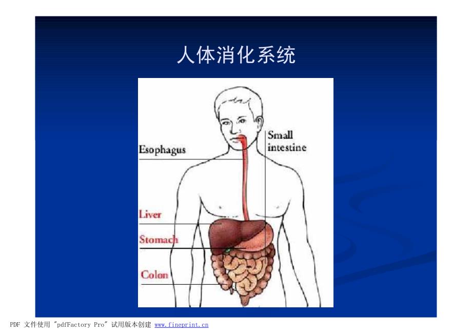 药物化学 第五章 消化系统药物 整章课件_第2页