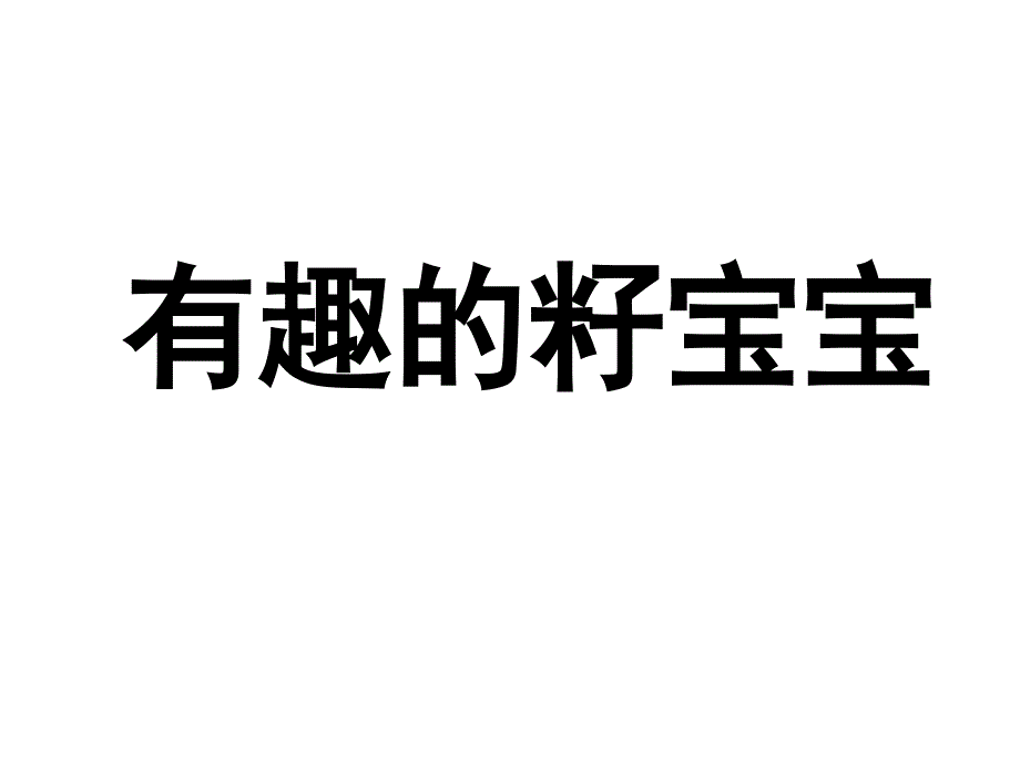 幼儿园中班科学《有趣的籽宝宝》_第1页