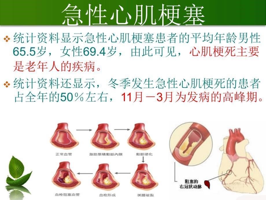 老年人冬季常见病防治与健康_第5页