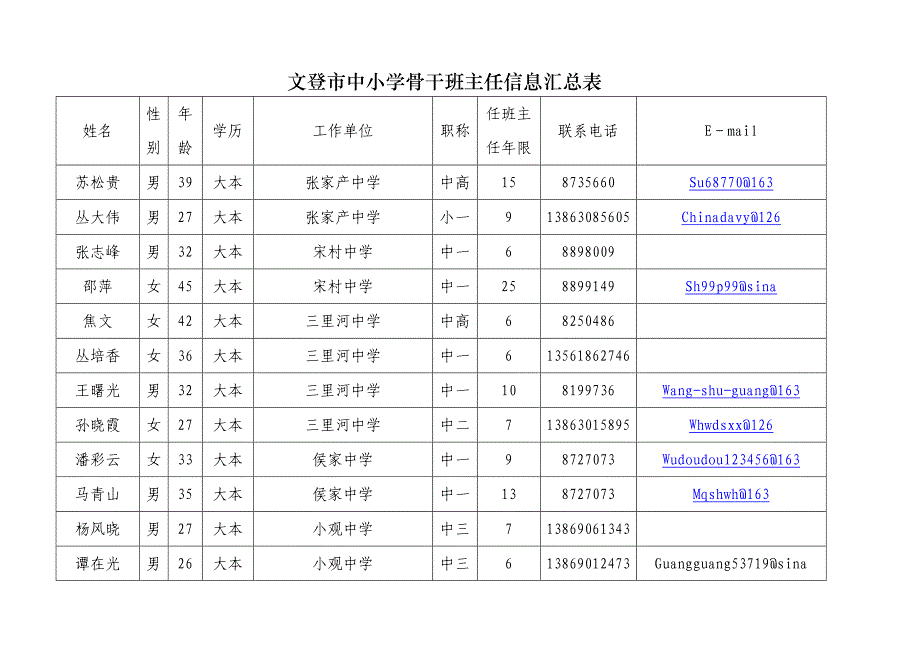 文登市中小学骨干班主任信息汇总表_第4页