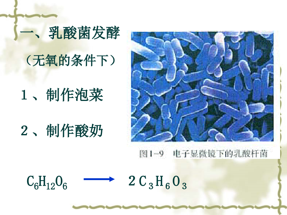 制作泡菜并检测亚硝酸盐含量(使用)_第3页