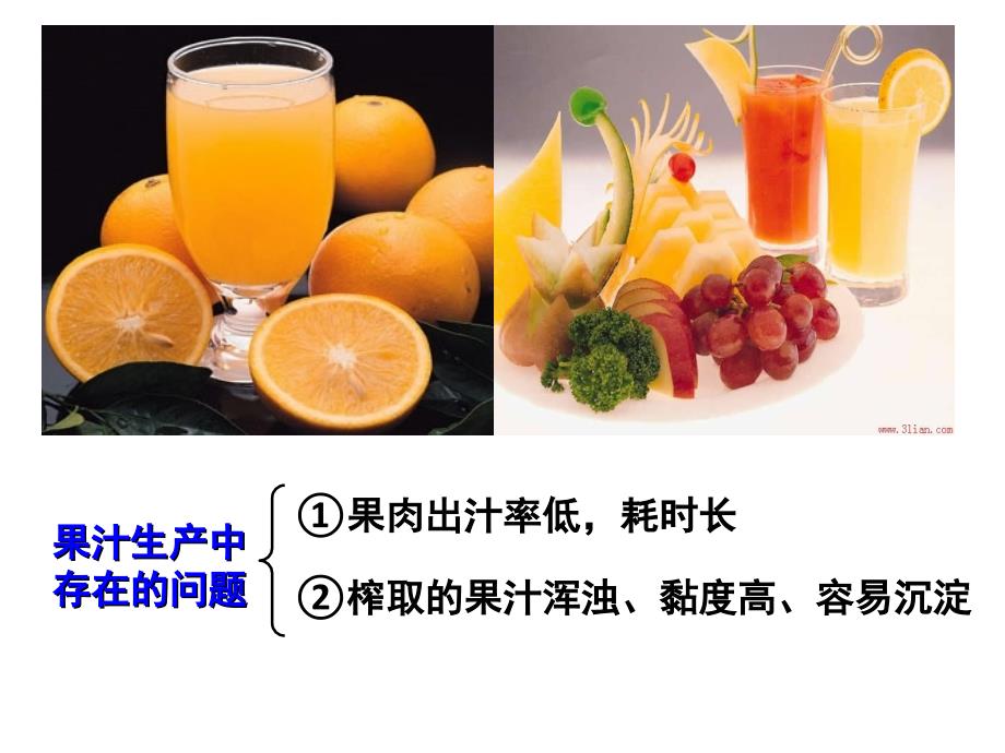课题1 果胶酶在果汁生产中的作用_第2页