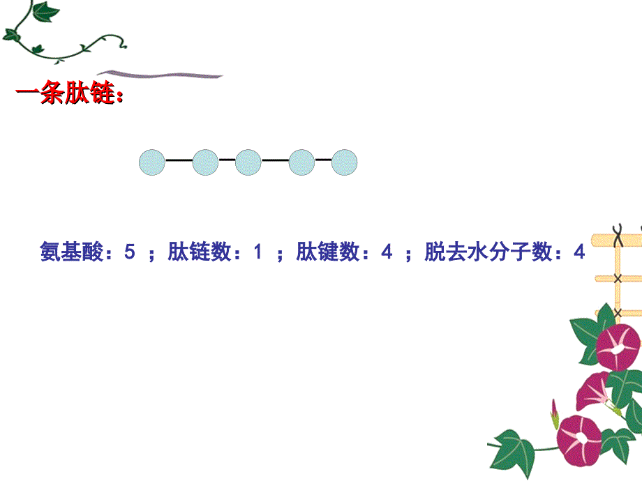 脱水缩合有关计算_第3页