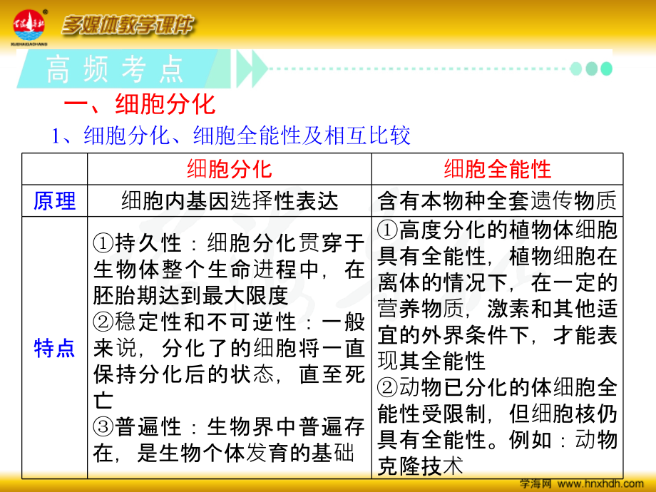 2013高考生物第1轮总复习必修1  第14讲 细胞的分化、衰老、凋亡和癌变_第4页