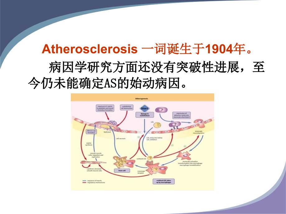 动脉粥样硬化中生物标志物的研究进展_第3页