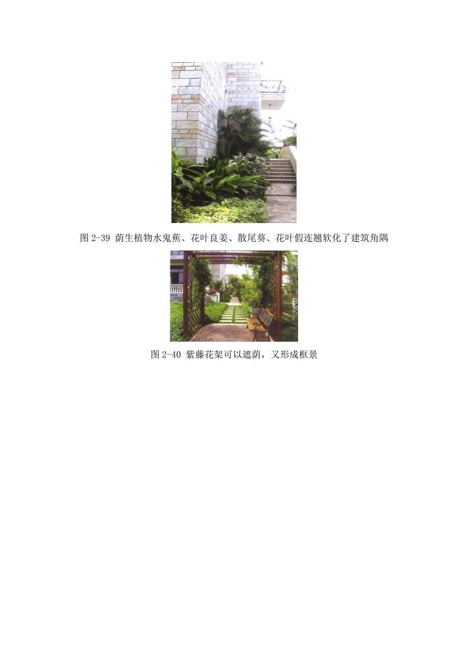 住宅小庭院植物景观设计特点分析_第5页