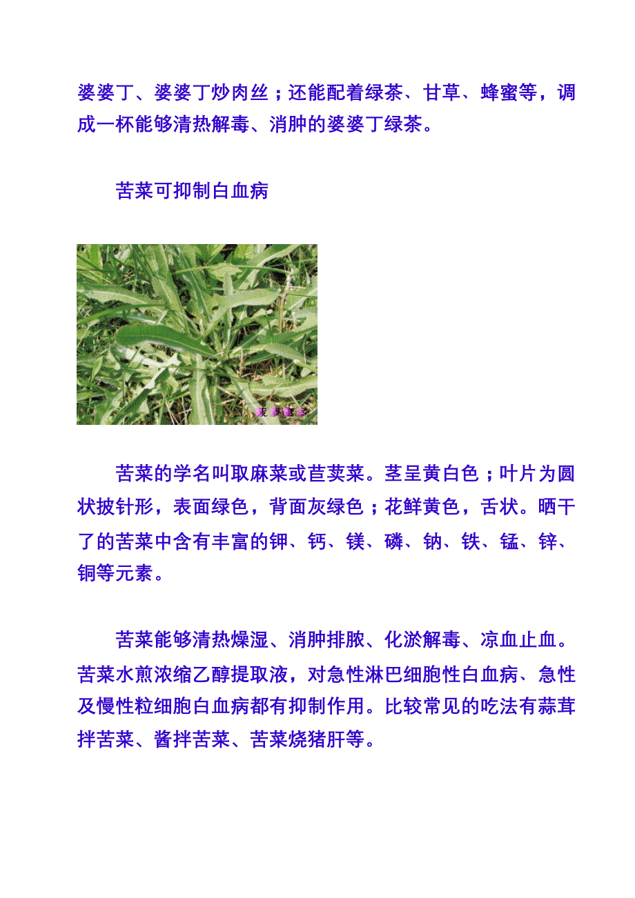 十种野菜既抗癌症_第2页