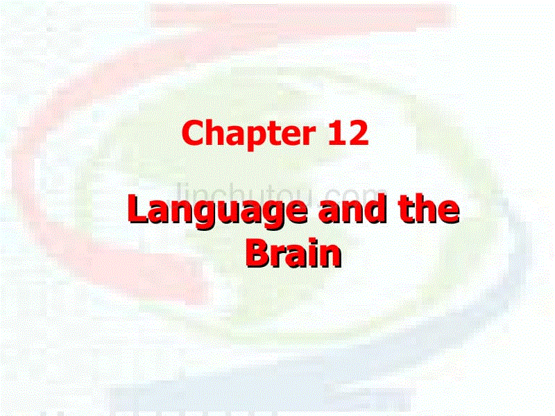 神经语言学和心理语言学