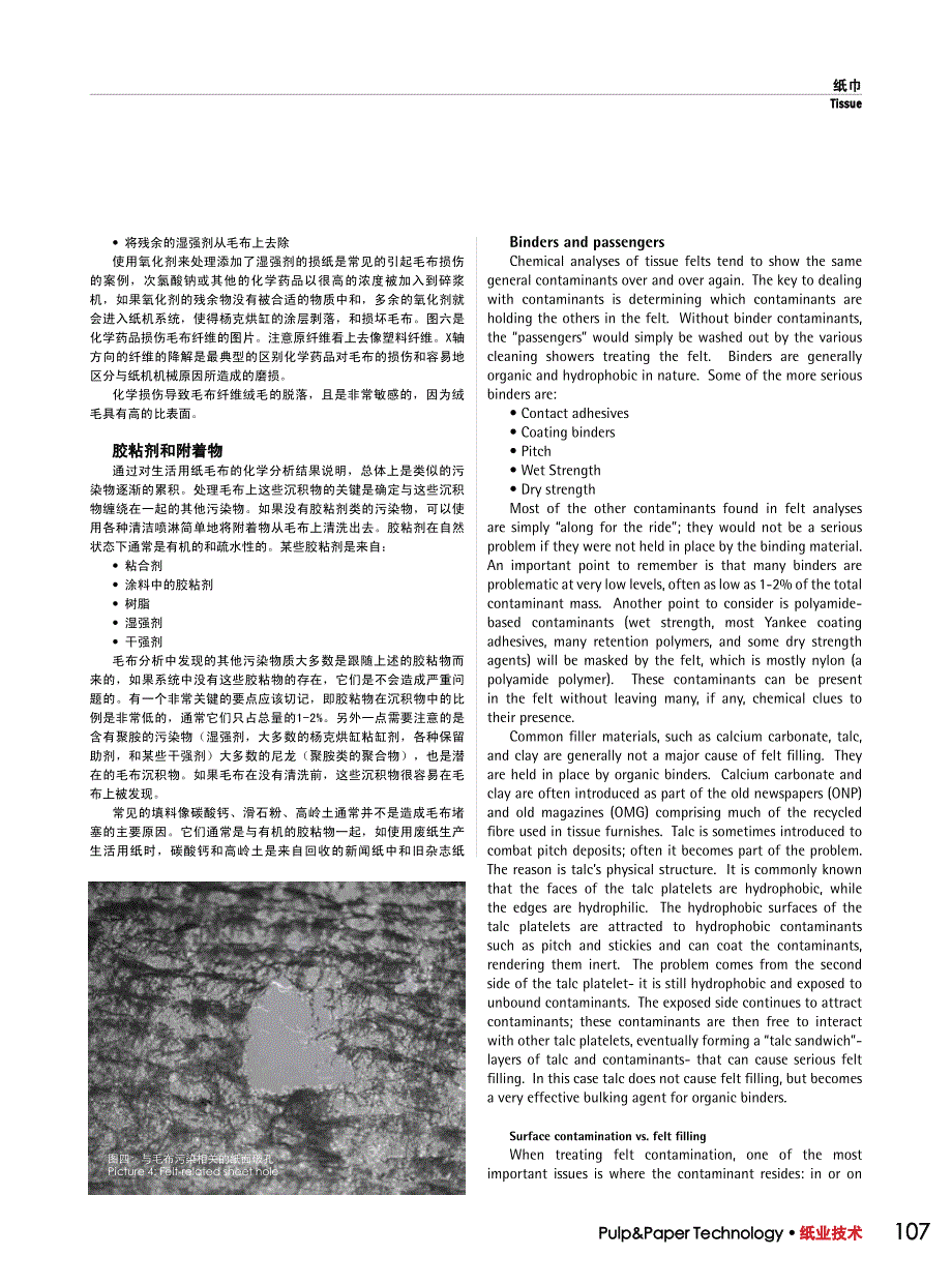 亚马逊卫生纸洗涤_第4页