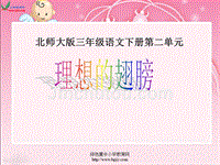 北师大版小学三年级下册语文《理想的翅膀》课件ppt