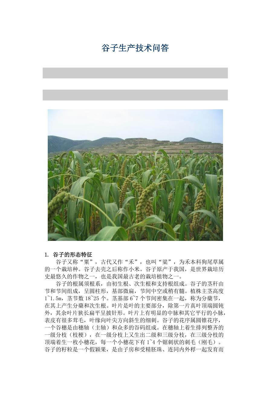 谷子生产技术问答_第1页