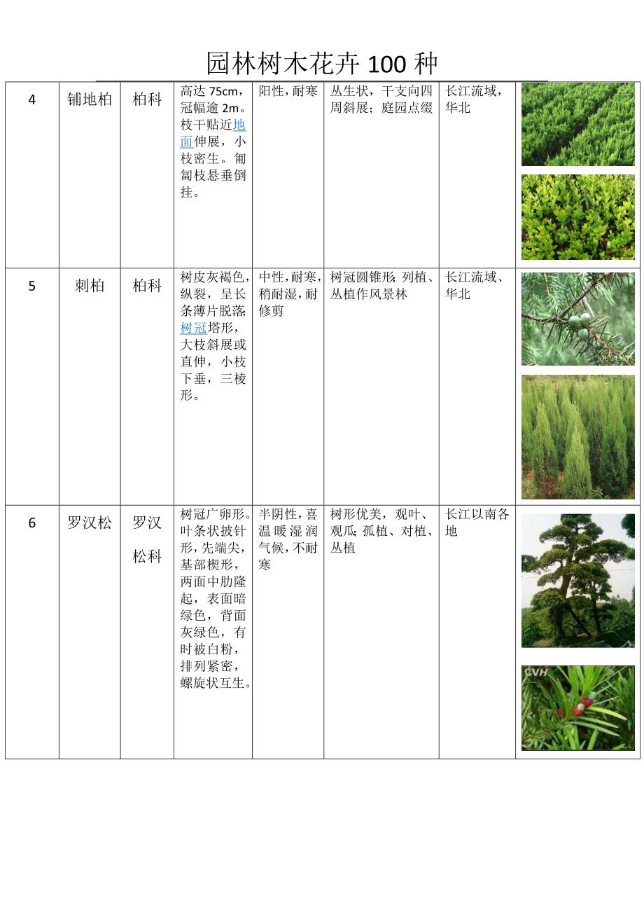 园林树木种类表_第2页