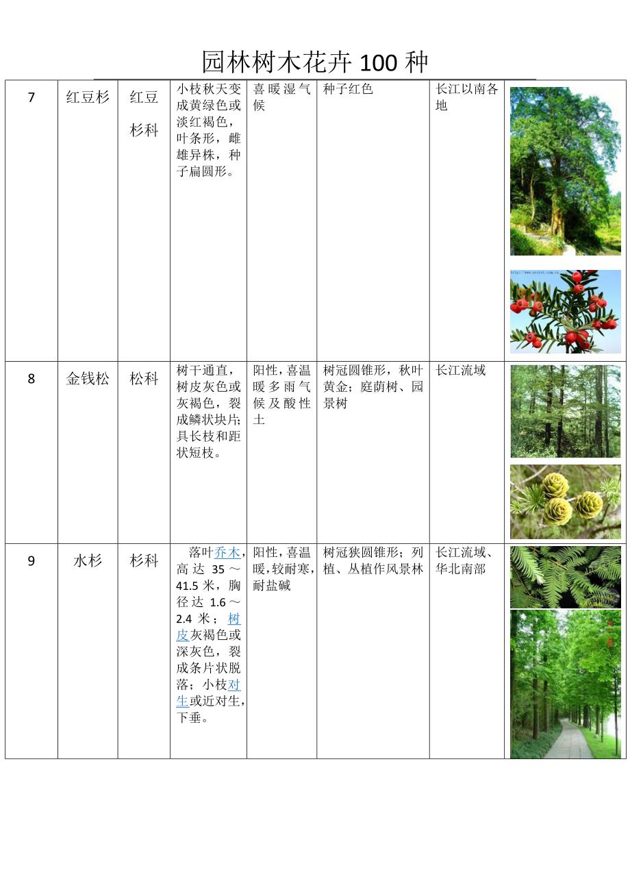 园林树木种类表_第3页