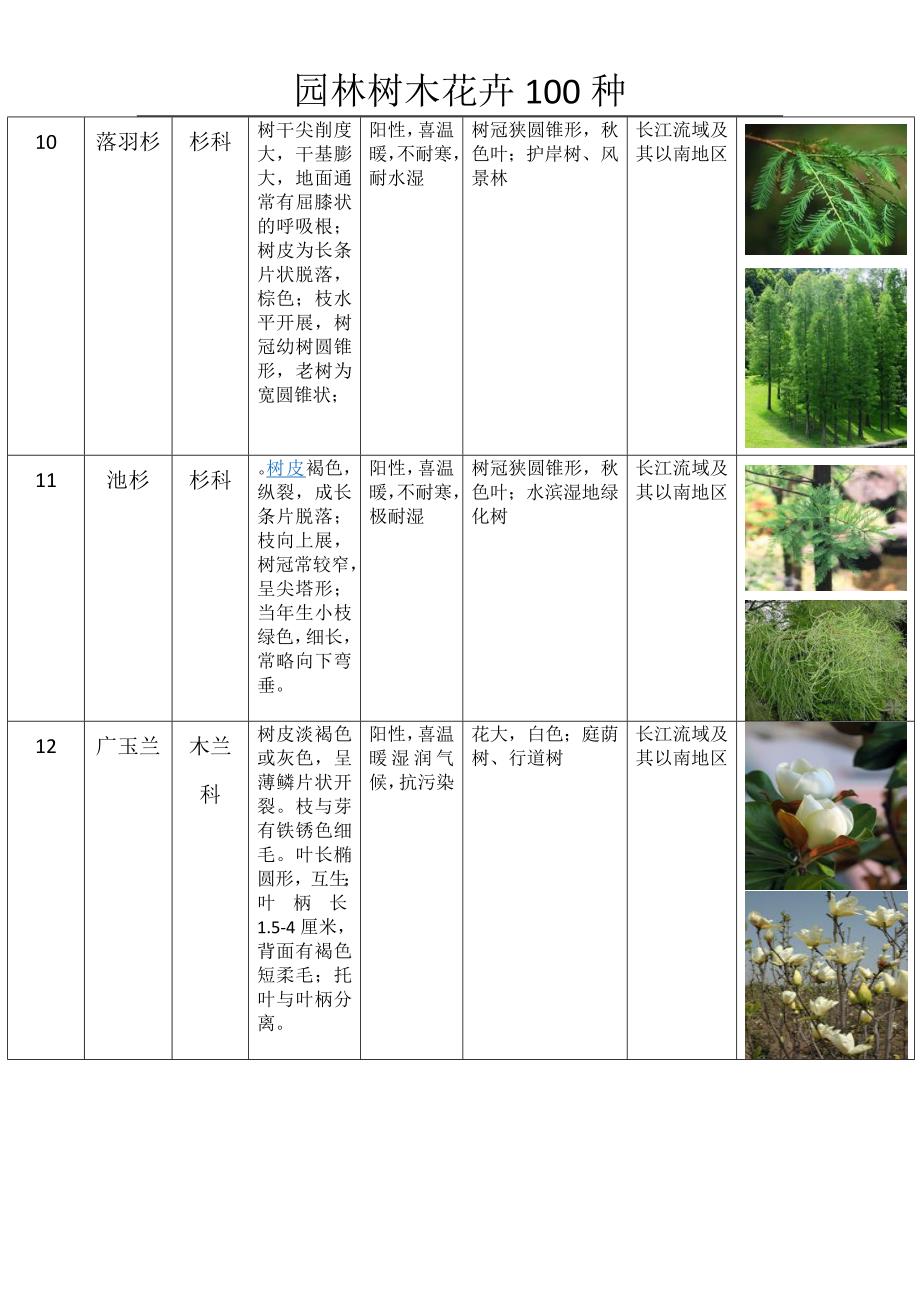 园林树木种类表_第4页