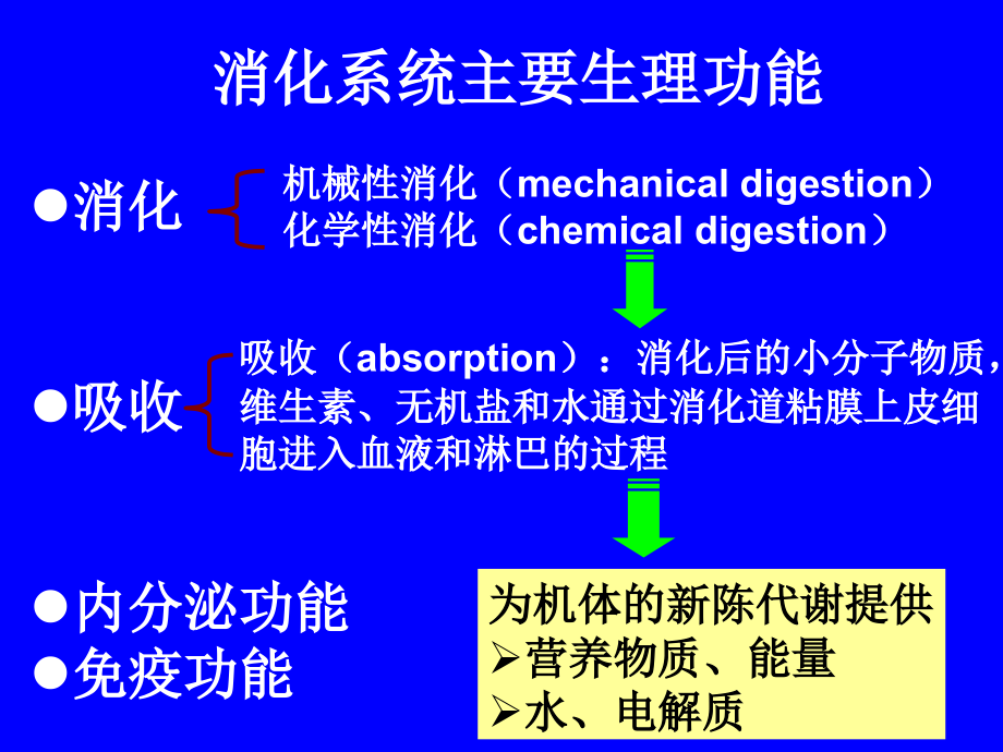 消化系统生理学_第2页