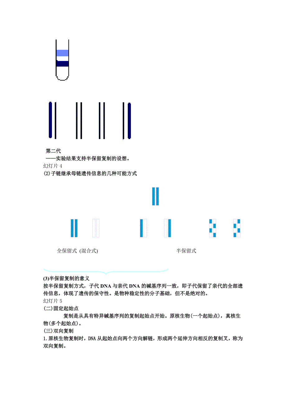 生物化学11.第十一章 dna的生物合成_第3页