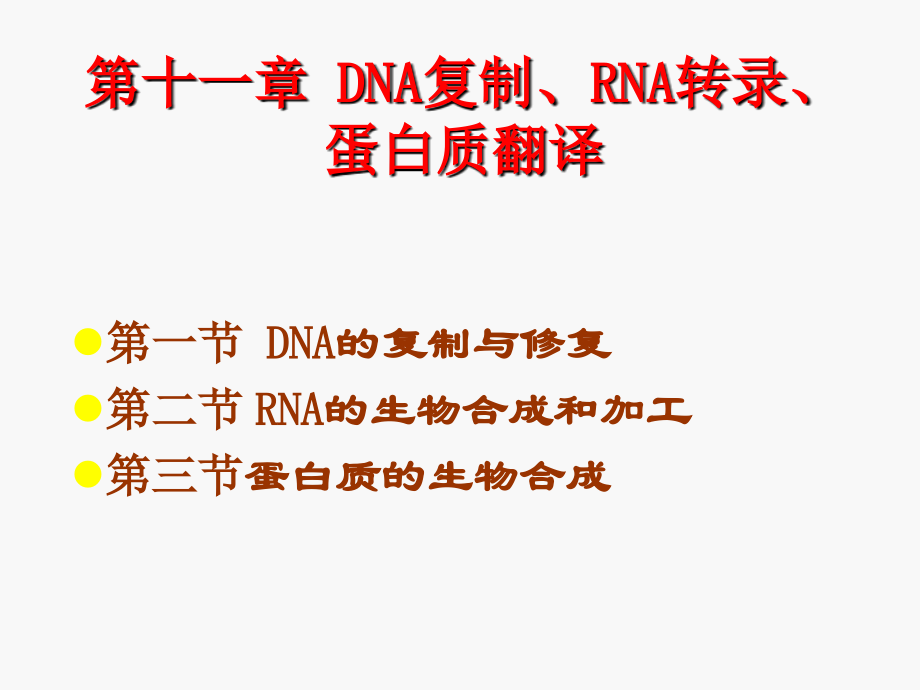 DNA复制、RNA转录、蛋白质翻译_第1页